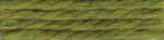 Cactus LPSW Cactus LPSW