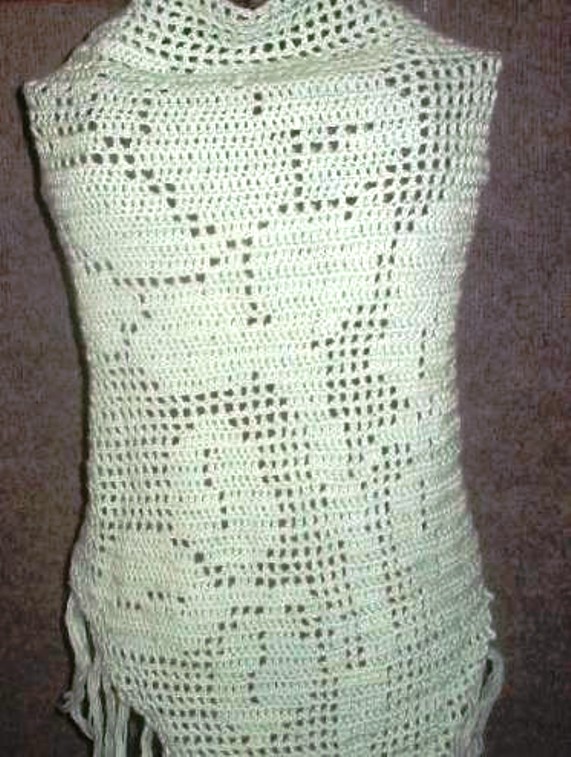 Filet Crochet Shawl