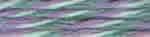 Green Envy LPSW Green Envy LPSW