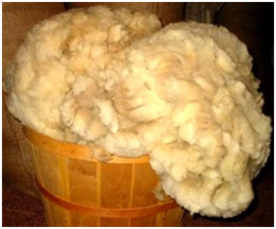 Raw Wool